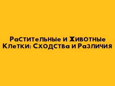 Растительные и Животные Клетки: Сходства и Различия