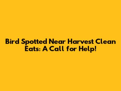 Bird Spotted Near Harvest Clean Eats: A Call for Help!