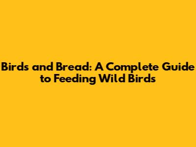 Birds and Bread: A Complete Guide to Feeding Wild Birds
