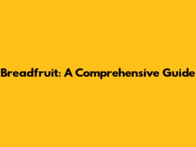 Breadfruit: A Comprehensive Guide