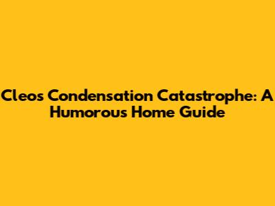 Cleo's Condensation Catastrophe: A Humorous Home Guide