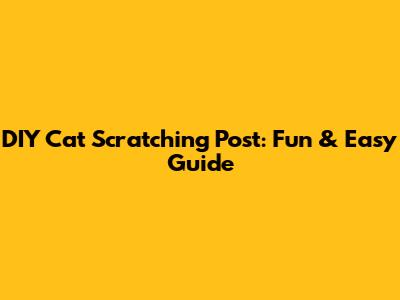 DIY Cat Scratching Post: Fun & Easy Guide