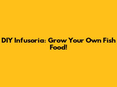 DIY Infusoria: Grow Your Own Fish Food!