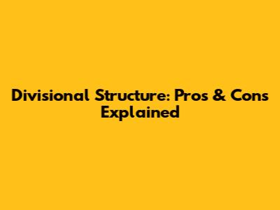 Divisional Structure: Pros & Cons Explained