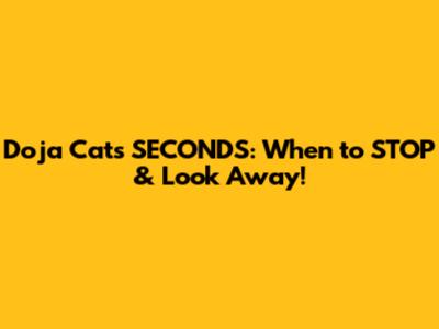 Doja Cat's SECONDS: When to STOP & Look Away!