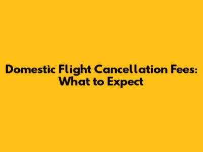 Domestic Flight Cancellation Fees: What to Expect