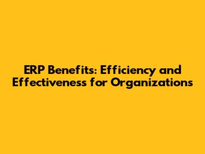 ERP Benefits: Efficiency and Effectiveness for Organizations