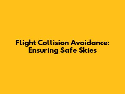 Flight Collision Avoidance: Ensuring Safe Skies