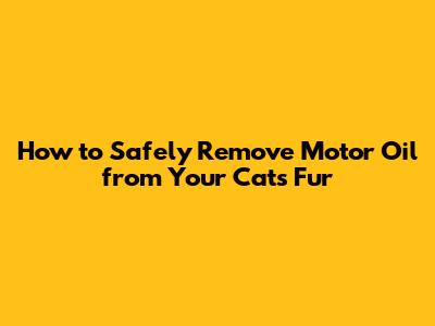 How to Safely Remove Motor Oil from Your Cat's Fur