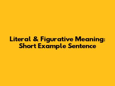 Literal & Figurative Meaning: Short Example Sentence