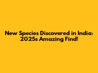 New Species Discovered in India: 2025's Amazing Find!