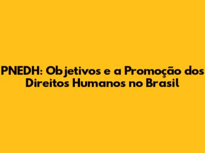 PNEDH: Objetivos e a Promoção dos Direitos Humanos no Brasil