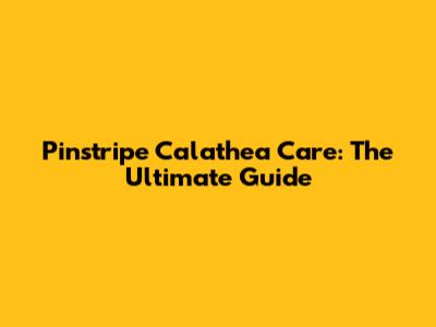 Pinstripe Calathea Care: The Ultimate Guide