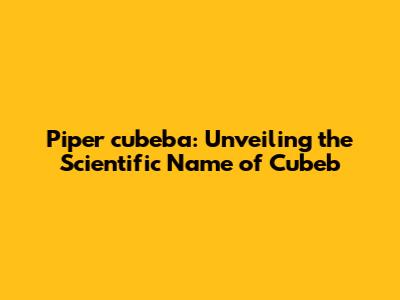 Piper cubeba: Unveiling the Scientific Name of Cubeb