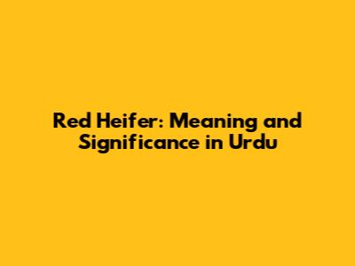Red Heifer: Meaning and Significance in Urdu