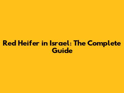 Red Heifer in Israel: The Complete Guide