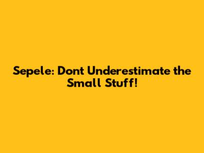 Sepele: Don't Underestimate the Small Stuff!