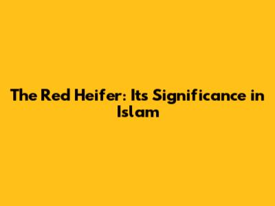 The Red Heifer: Its Significance in Islam