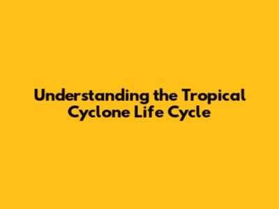 Understanding the Tropical Cyclone Life Cycle
