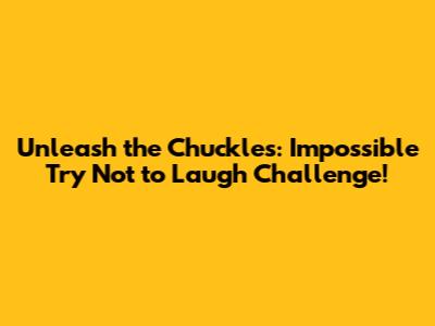 Unleash the Chuckles: Impossible 'Try Not to Laugh' Challenge!