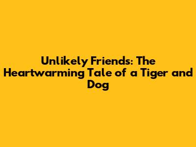 Unlikely Friends: The Heartwarming Tale of a Tiger and Dog