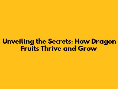 Unveiling the Secrets: How Dragon Fruits Thrive and Grow