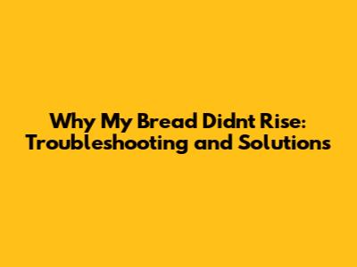 Why My Bread Didn't Rise: Troubleshooting and Solutions