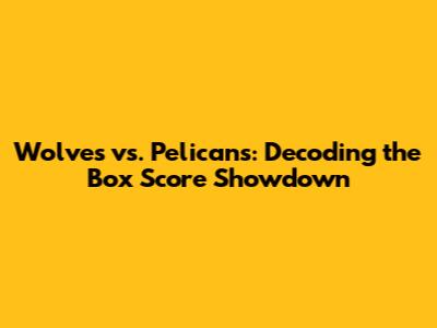 Wolves vs. Pelicans: Decoding the Box Score Showdown