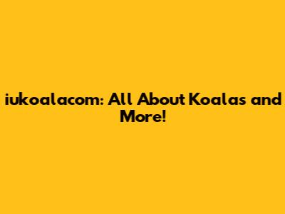 iukoalacom: All About Koalas and More!